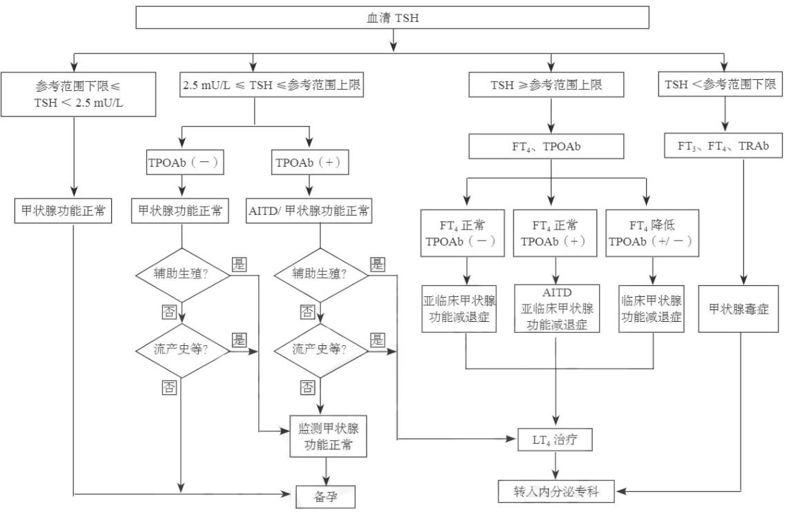 孕前血清TSH篩查、診斷和管理流程
