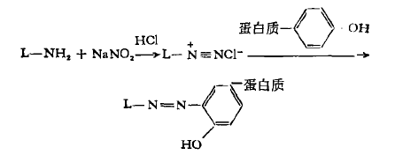 重氮鹽偶聯法