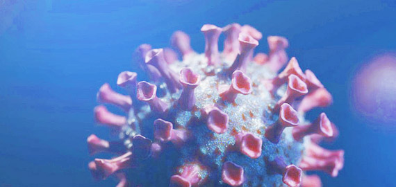 HBP高親和兔單抗，助力IVD備戰COVID-19重癥高峰