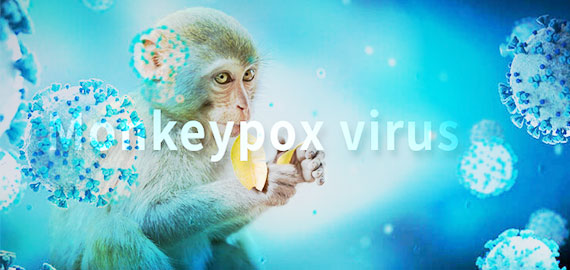 SingleB猴痘項目大顯身手，近100株抗體火速上新！