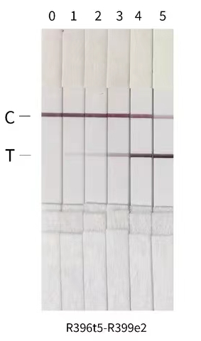 猴痘病毒A29L抗體膠體金檢測(cè)結(jié)果